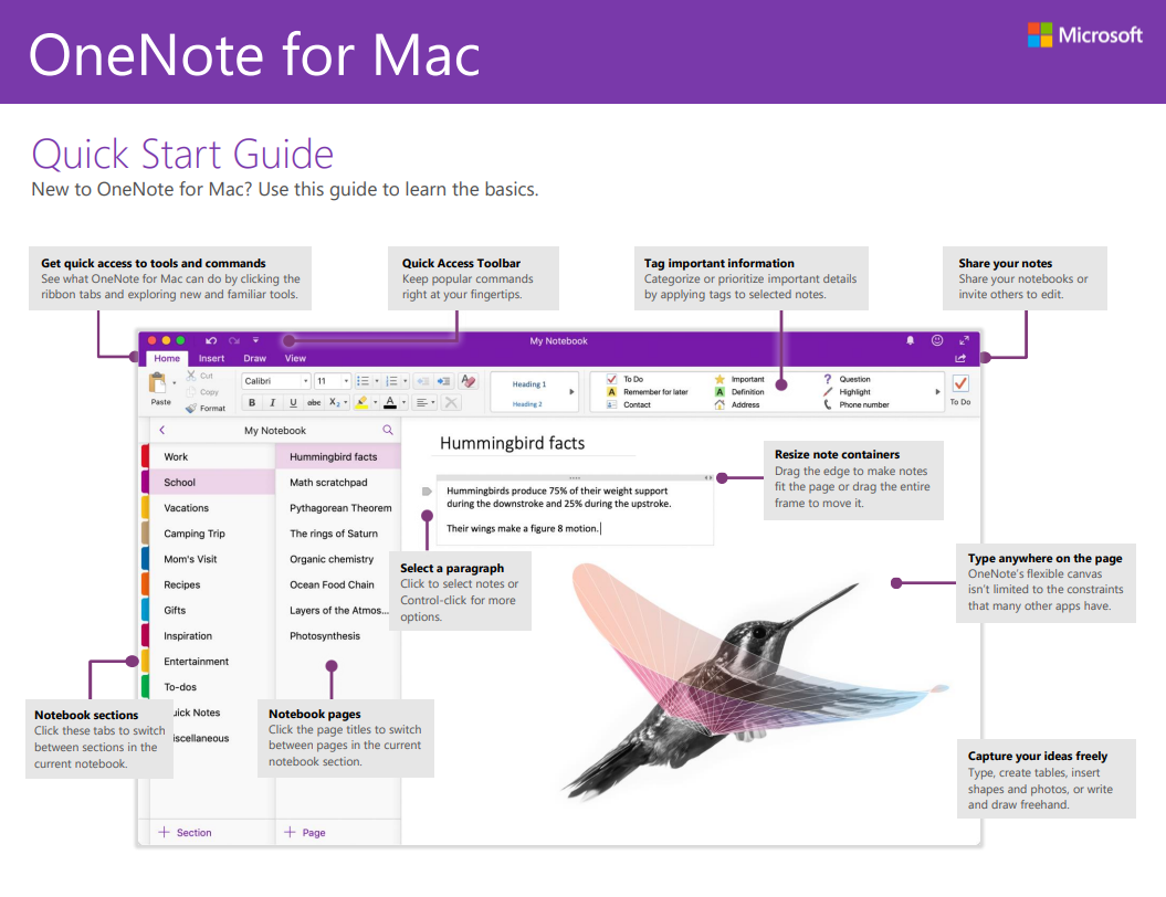 onenote quick start guide mac