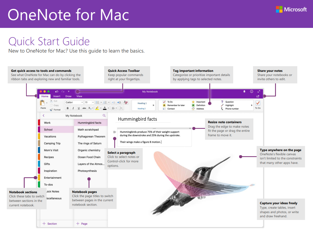 Microsoft Office Quick Start Guides - Ultimate IT Courses