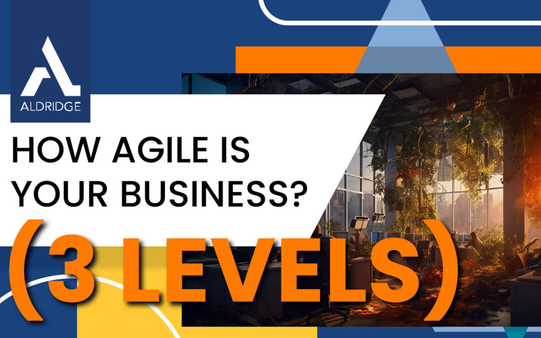 How Agile is Your Business? (3 levels)