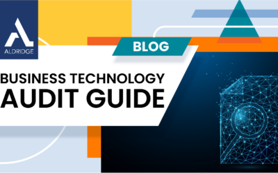 The Business Technology Audit Guide