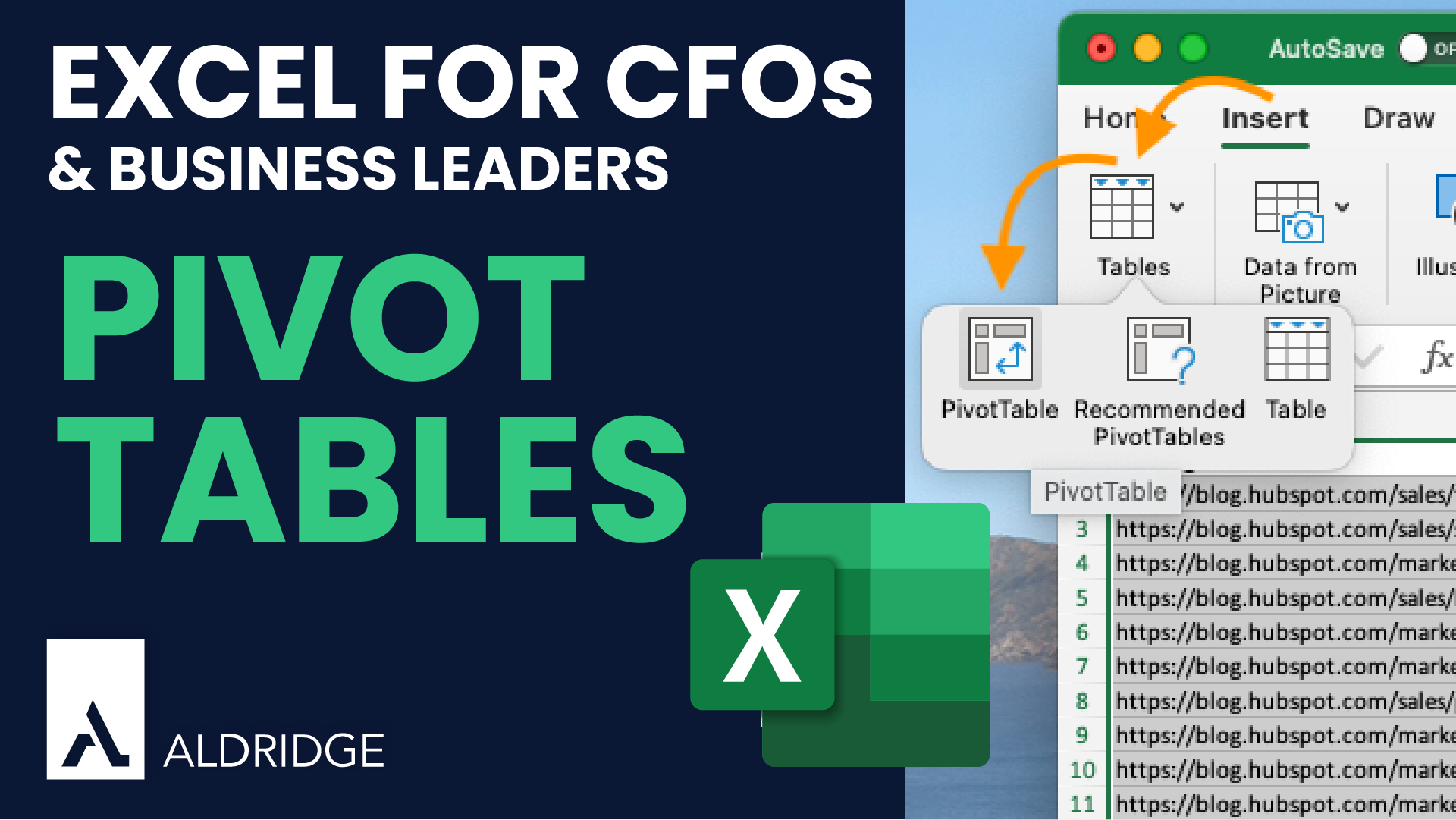 Analyzing Data with Pivot Tables in Excel Aldridge